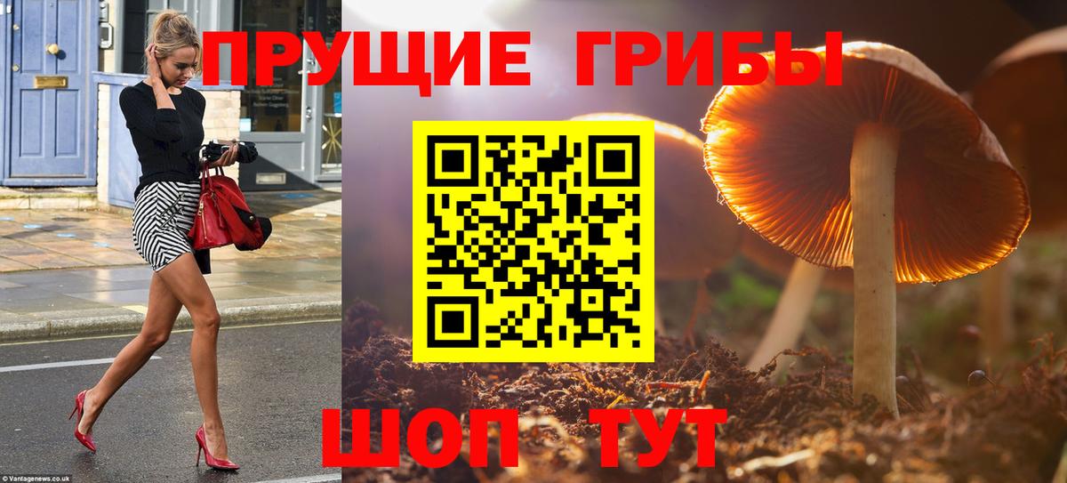 Псилоцибиновые грибы прущие грибы  Псилоцибиновые грибы Psilocybine cubensis  Кашира  Вход с VPN 