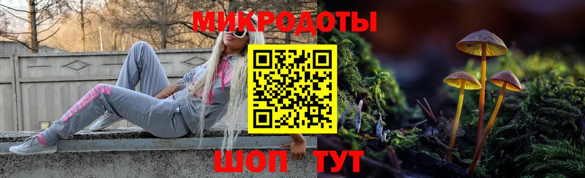 Галлюциногенные грибы Psilocybe Кашира